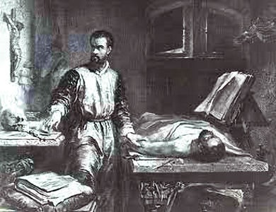 AndreaVesalio 390 min
